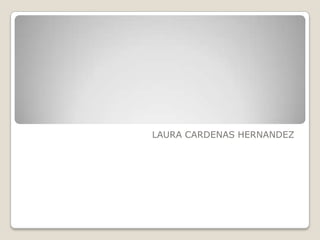 LAURA CARDENAS HERNANDEZ 
