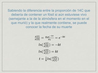 Sabiendo la diferencia entre la proporción de 14C que
debería de contener un fósil si aún estuviese vivo
(semejante a la de la atmósfera en el momento en el
que murió) y la que realmente contiene, se puede
conocer la fecha de su muerte
 