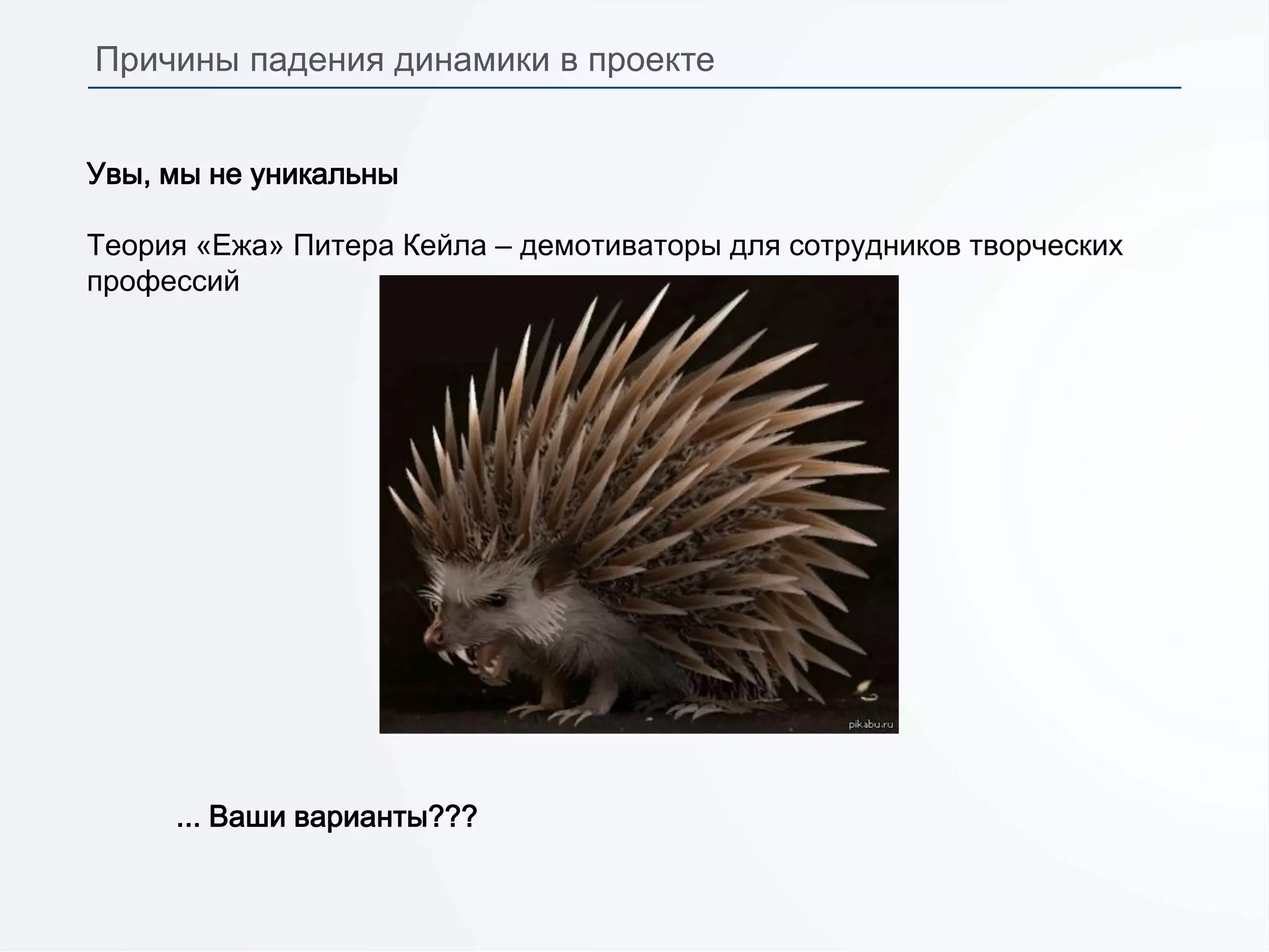 Увы, мы не уникальны
Теория «Ежа» Питера Кейла – демотиваторы для сотрудников творческих
профессий
... Ваши варианты???
Причины падения динамики в проекте
 