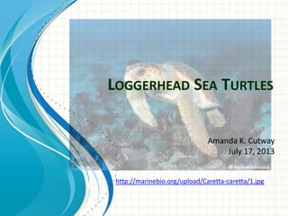 LOGGERHEAD SEA TURTLES
Amanda K. Cutway
July 17, 2013
http://marinebio.org/upload/Caretta-caretta/1.jpg
 