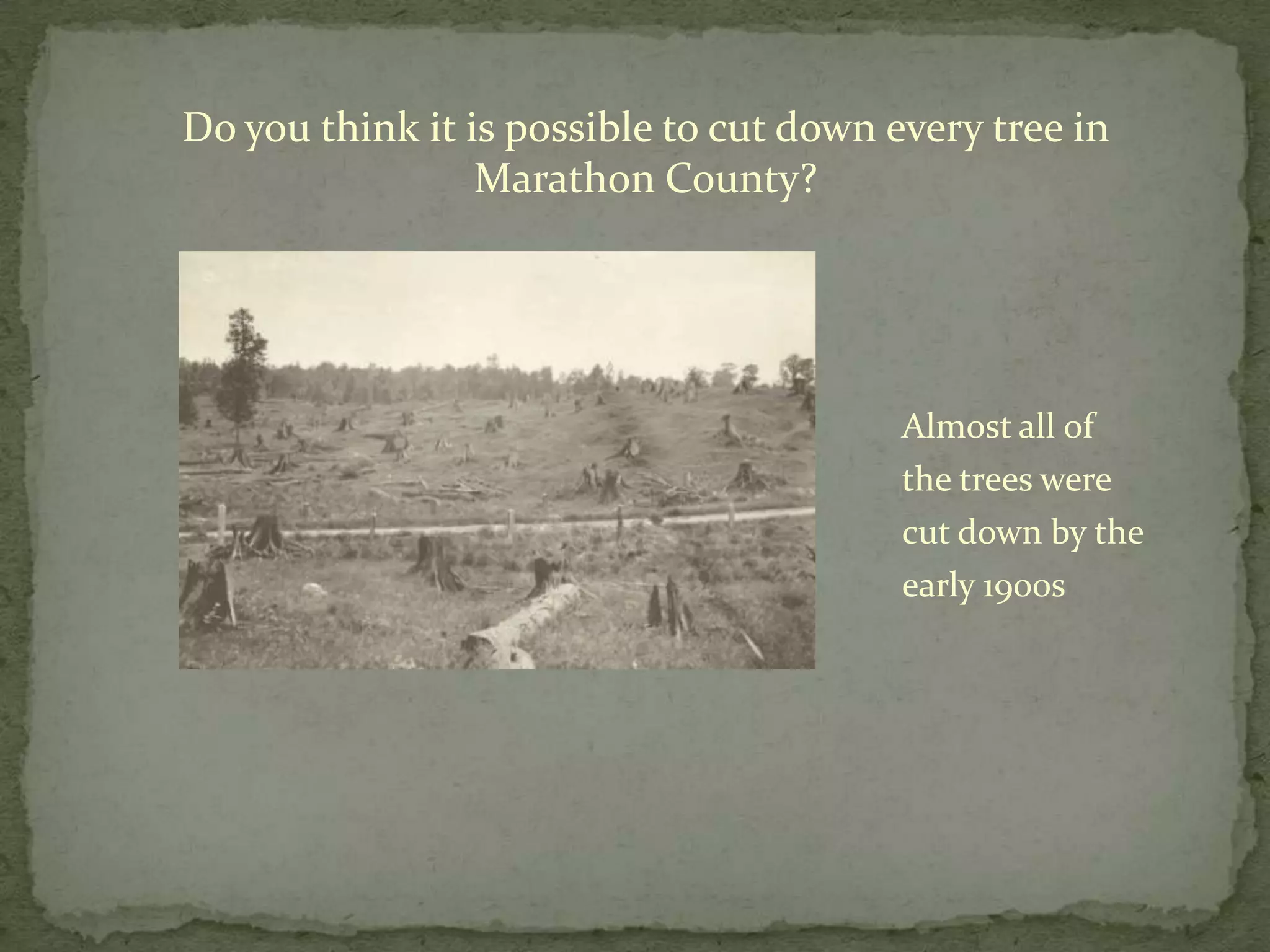 Do you think it is possible to cut down every tree in
Marathon County?

Almost all of
the trees were
cut down by the
early 1900s

 