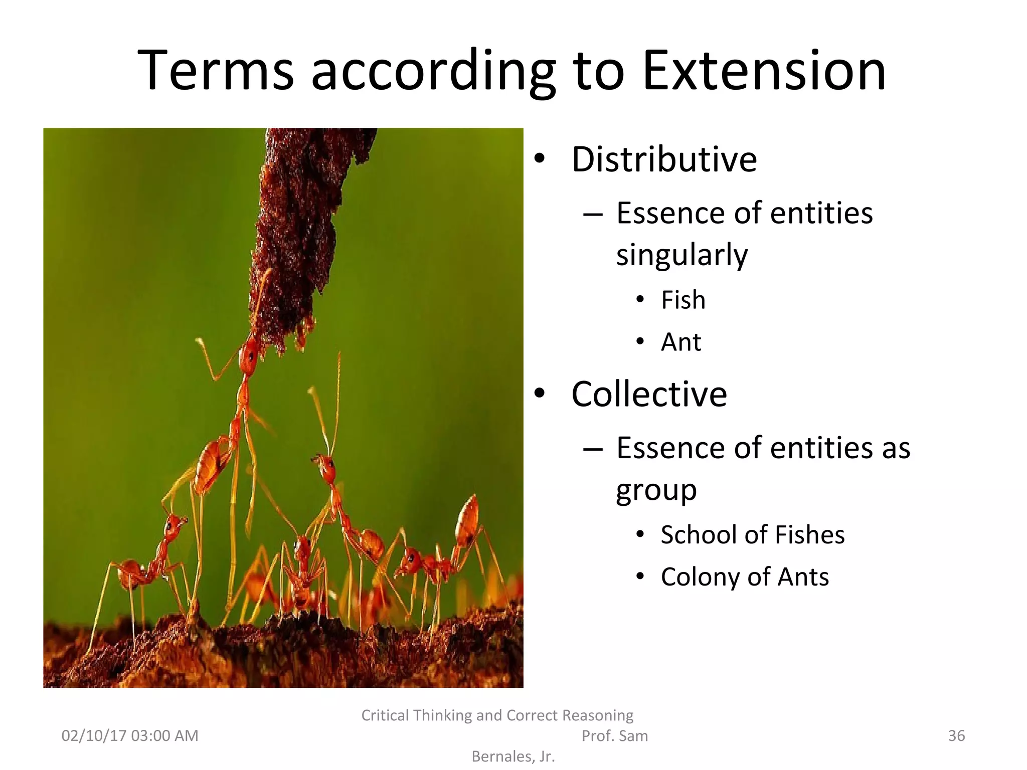 Terms according to Extension
• Distributive
– Essence of entities
singularly
• Fish
• Ant
• Collective
– Essence of entities as
group
• School of Fishes
• Colony of Ants
02/10/17 03:00 AM
Critical Thinking and Correct Reasoning
Prof. Sam
Bernales, Jr.
36
 