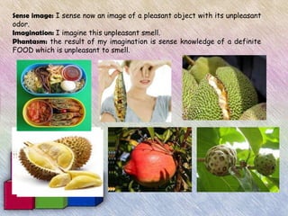 Sense image: I sense now an image of a pleasant object with its unpleasant
odor.
Imagination: I imagine this unpleasant smell.
Phantasm: the result of my imagination is sense knowledge of a definite
FOOD which is unpleasant to smell.
 