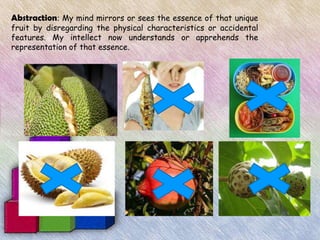 Abstraction: My mind mirrors or sees the essence of that unique
fruit by disregarding the physical characteristics or accidental
features. My intellect now understands or apprehends the
representation of that essence.
 