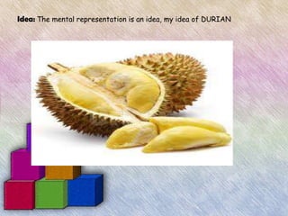 Idea: The mental representation is an idea, my idea of DURIAN
 