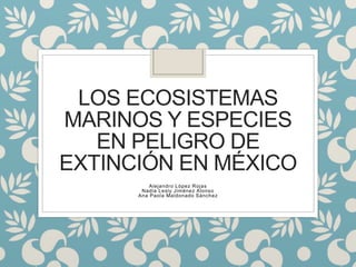 LOS ECOSISTEMAS
MARINOS Y ESPECIES
EN PELIGRO DE
EXTINCIÓN EN MÉXICO
 