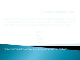 Conceptos coordinados
Estos son los que guardan una mínima posición frente al
supraordenado que les corresponde. Podríamos decir
que entre sí son las especies del género. Por ejemplo:
León
Tigre
Puma
Pantera
Son coordinados entre sí y subordinados de “felino”
 