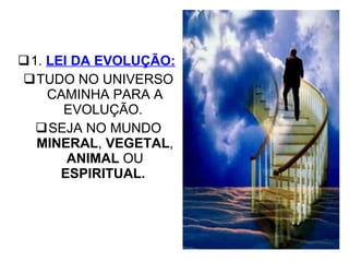 1.  LEI DA EVOLUÇÃO:   TUDO NO UNIVERSO CAMINHA PARA A EVOLUÇÃO.  SEJA NO MUNDO  MINERAL ,  VEGETAL ,  ANIMAL  OU  ESPIRITUAL.   