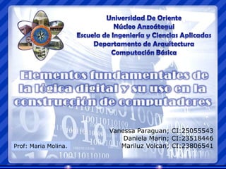 Vanessa Paraguan; CI:25055543
                          Daniela Marin; CI:23518446
Prof: Maria Molina.      Mariluz Volcan; CI:23806541
 