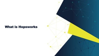 What is Hopsworks
 
