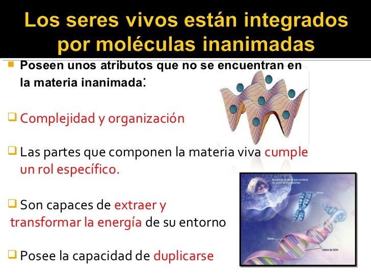 Logica molecular de los organismos vivos