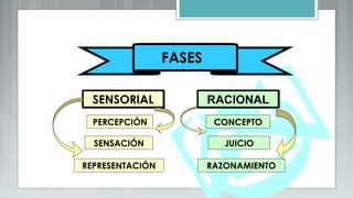 SENSORIALSENSORIAL
REPRESENTACIÓN
PERCEPCIÓN
SENSACIÓN
FASES
JUICIO
CONCEPTO
RAZONAMIENTO
RACIONALRACIONAL
 