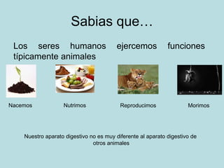 Sabias que…
Los seres humanos ejercemos funciones
típicamente animales
Nacemos Nutrimos Reproducimos Morimos
Nuestro aparato digestivo no es muy diferente al aparato digestivo de
otros animales
 
