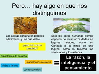 Pero… hay algo en que nos
distinguimos
Las abejas construyen panales
admirables. ¿Los has visto?
Solo los seres humanos somos
capaces de levantar ciudades en
lugares helados, como en
Canadá; a la mitad de una
laguna, como lo hicieron los
venecianos y los aztecas.
Viajes a la luna
Trasplantes de corazón
Los rascacielos
Los teléfonos celulares
 