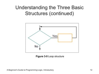 Understanding the Three Basic 
Structures (continued) 
Figure 3-5 Loop structure 
A Beginner's Guide to Programming Logic, Introductory 12 
 