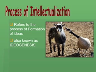 Process of Intellectualization ,[object Object],[object Object]