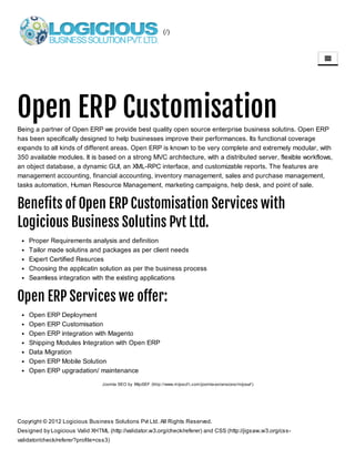 Open ERP customisation
