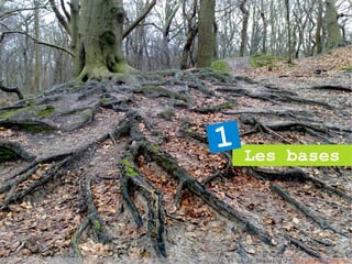 1       Les bases




CC-BY-SA // Dkassing // Wikimedia Commons
 