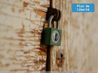 Plus de
                     liberté




CC-BY-SA // Petr Šmerkl // Wikimedia Commons
 