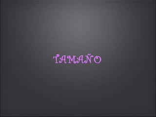 TAMAÑO
 