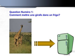 Question Numéro 1: Comment mettre une girafe dans un frigo?   