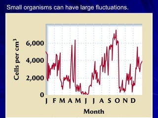 Small organisms can have large fluctuations.
 