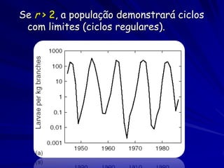 Se r > 2, a população demonstrará ciclos
 com limites (ciclos regulares).
 