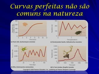 Curvas perfeitas não são
  comuns na natureza
 