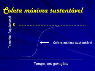 Coleta máxima sustentável
 Tamanho Populacional



                        K



                                      Coleta máxima sustentável




                            Tempo, em gerações
 