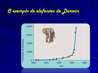 O exemplo de elefantes de Darwin

                               8,000


                               6,000
      População de Elefantes




                               4,000


                               2,000


                                  0
                                  1900   1920   1940    1960   1980
                                                  Ano
 
