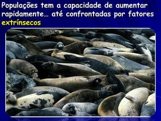 Populações tem a capacidade de aumentar
rapidamente… até confrontadas por fatores
extrínsecos
 