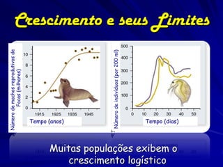 Crescimento e seus Limites
Número de machos reprodutivos de




                                                      Número de indivíduos (por 200 ml)
        Focas (milhares)




                                   Tempo (anos)                                           Tempo (dias)




                                          Muitas populações exibem o
                                              crescimento logístico
 