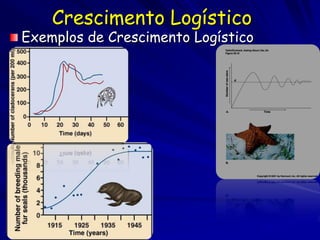 Crescimento Logístico
Exemplos de Crescimento Logístico
 