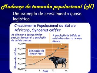 Mudança do tamanho populacional (N)
    Um exemplo de crescimento quase
    logístico
        Crescimento Populacional do Búfalo
        Africano, Syncerus caffer
   Ao eliminar a doença rinder            A população de búfalo se
   pest,da Seregetei, a população         estabelece dentro de uma
   de búfalo cresceu                      década
    Número de búfalos




                        Eliminação de
                        Rinder Pest




                                   Anos
 