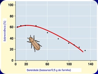 Sobrevivência (%)




                    Densidade (besouros/0,5 g de farinha)
 