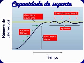 Capacidade de suporte
                                         (Resistência ambiental)
                   Capacidade
                   de suporte
Número de
Indivíduos




                                               equilíbrio
               (Potencial
               Biótico)
                                Crescimento
                                rápido




                                  Tempo
 