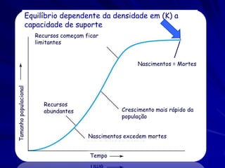 Equilíbrio dependente da densidade em (K) a
                  capacidade de suporte
                       Recursos começam ficar
                       limitantes


                                                         Nascimentos = Mortes
Tamanho populacional




                          Recursos
                          abundantes                Crescimento mais rápido da
                                                    população


                                         Nascimentos excedem mortes


                                          Tempo
 