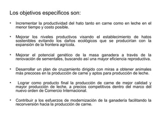 Los objetivos específicos son: 
• Incrementar la productividad del hato tanto en carne como en leche en el 
menor tiempo y costo posible. 
• Mejorar los niveles productivos visando el establecimiento de hatos 
sostenibles evitando los daños ecológicos que se producirían con la 
expansión de la frontera agrícola. 
• Mejorar el potencial genético de la masa ganadera a través de la 
renovación de sementales, buscando así una mayor eficiencia reproductiva. 
• Desarrollar un plan de cruzamiento dirigido con miras a obtener animales 
más precoces en la producción de carne y aptos para producción de leche. 
• Lograr como producto final la producción de carne de mejor calidad y 
mayor producción de leche, a precios competitivos dentro del marco del 
nuevo orden de Comercio Internacional. 
• Contribuir a los esfuerzos de modernización de la ganadería facilitando la 
reconversión hacia la producción de carne. 
 