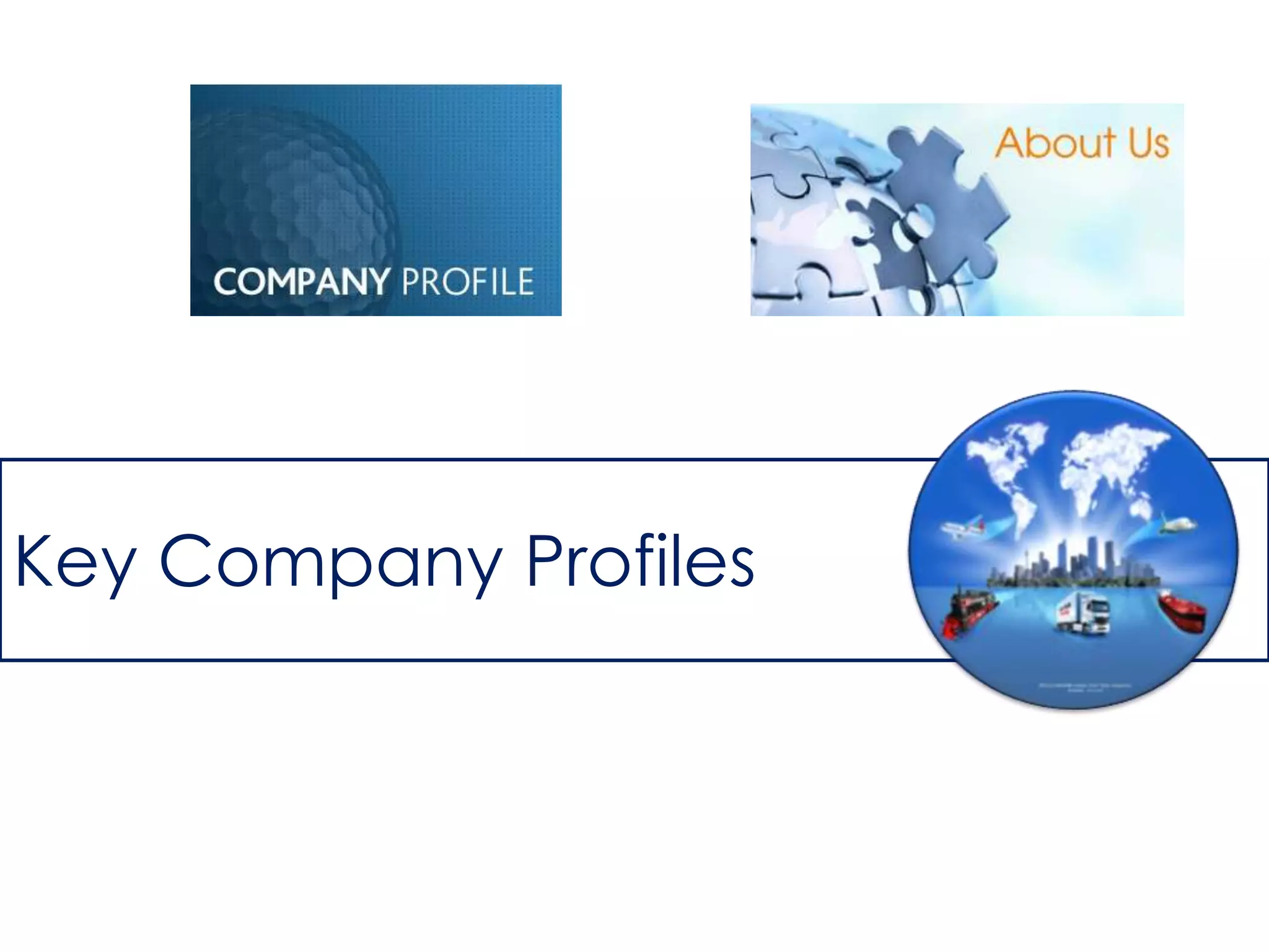 Key Company Profiles

 