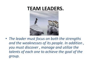 TEAM LEADERS.
• The leader must focus on both the strengths
and the weaknesses of its people. In addition ,
you must discover , manage and utilize the
talents of each one to achieve the goal of the
group.
 