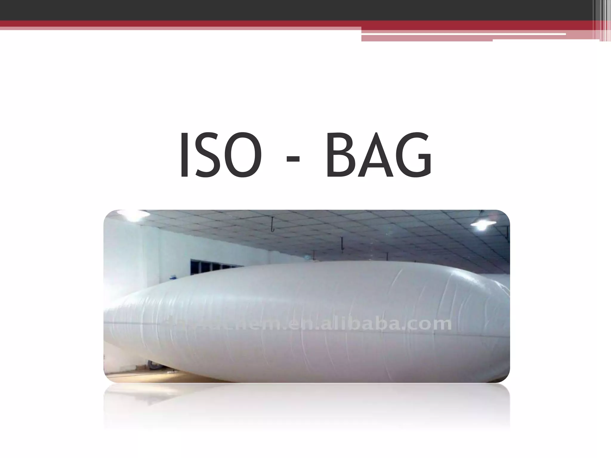 ISO - BAG

 