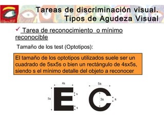 Tareas de discriminación visual.
Tipos de Agudeza Visual
Tamaño de los test (Optotipos):
 Tarea de reconocimiento o mínimo
reconocible
El tamaño de los optotipos utilizados suele ser un
cuadrado de 5sx5s o bien un rectángulo de 4sx5s,
siendo s el mínimo detalle del objeto a reconocer
 