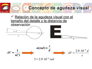  Relación de la agudeza visual con el
tamaño del detalle y la distancia de
observación
)('
1
u
AV =
Concepto de agudeza visual
s
d
AV
4
109.2 −
⋅
=
d
s
radu =)(
rad4
109.2'1 −
⋅=
 