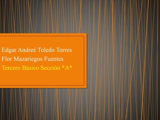 Edgar Andreé Toledo Torres
Flor Mazariegos Fuentes
Tercero Básico Sección *A*
 