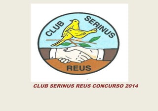 CLUB SERINUS REUS CONCURSO 2014
 