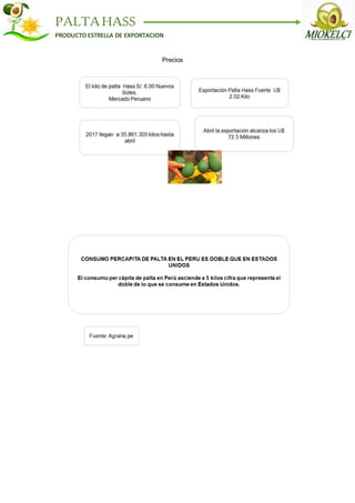 PALTAHASS
PRODUCTO ESTRELLA DE EXPORTACION
 