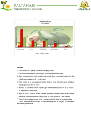 PALTAHASS
PRODUCTO ESTRELLA DE EXPORTACION
 