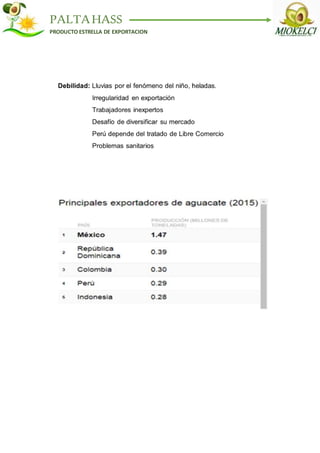 PALTAHASS
PRODUCTO ESTRELLA DE EXPORTACION
 