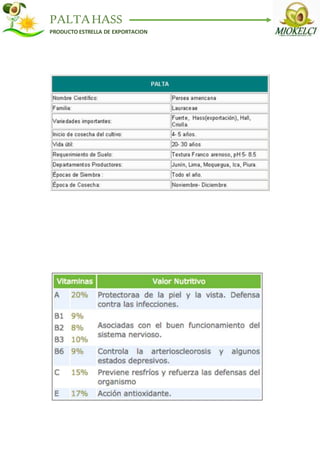 PALTAHASS
PRODUCTO ESTRELLA DE EXPORTACION
 