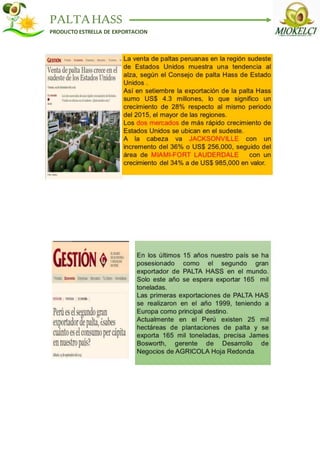 PALTAHASS
PRODUCTO ESTRELLA DE EXPORTACION
 